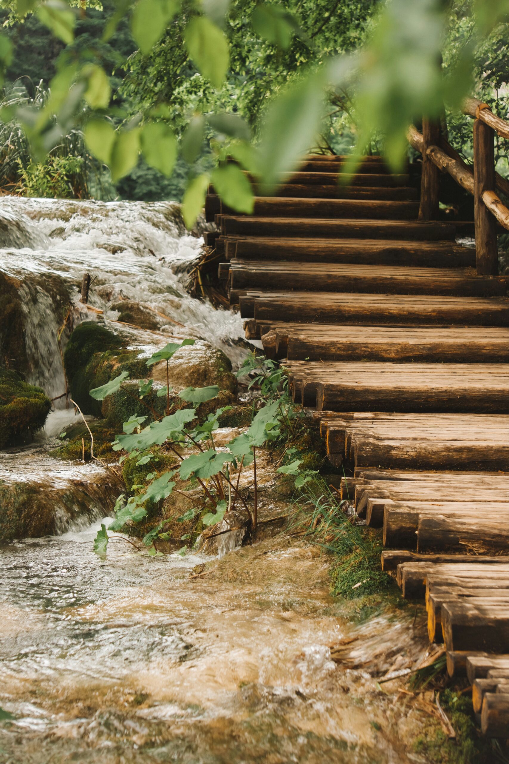 elisadventure-SGV5J7adgxw-unsplash