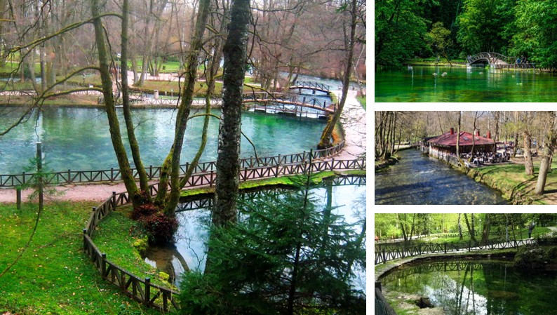 vrelo bosne