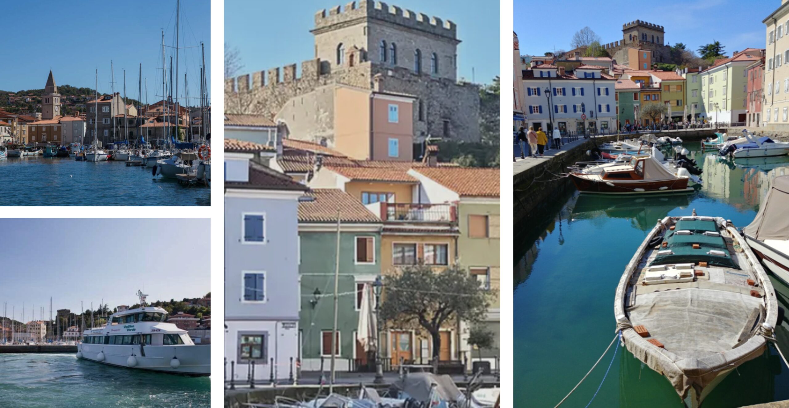 muggia mix